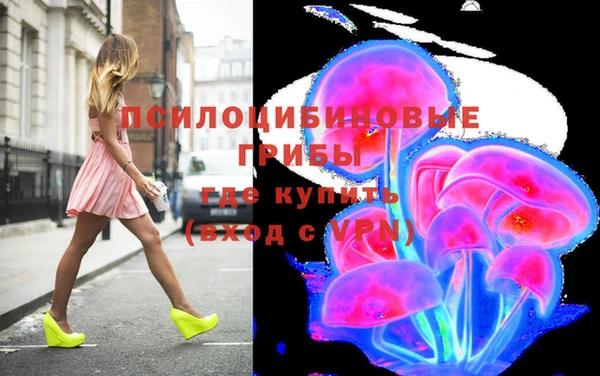 СК Липки